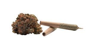 Cannabis-Gras