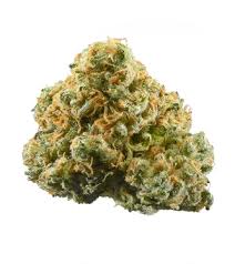 Cannabis Gras kaufen