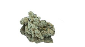Cannabis Shop Vereinigung