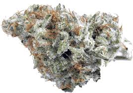 Cannabis Shop aus Deutschland