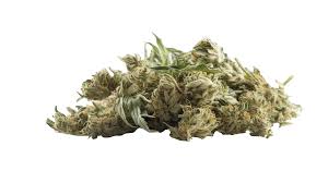 Cannabis Shop