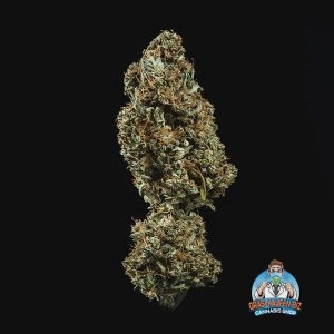 Fat Banana Autoflowering Gras