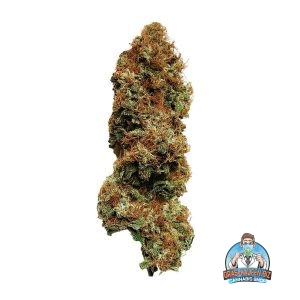 White Widow Cannabis